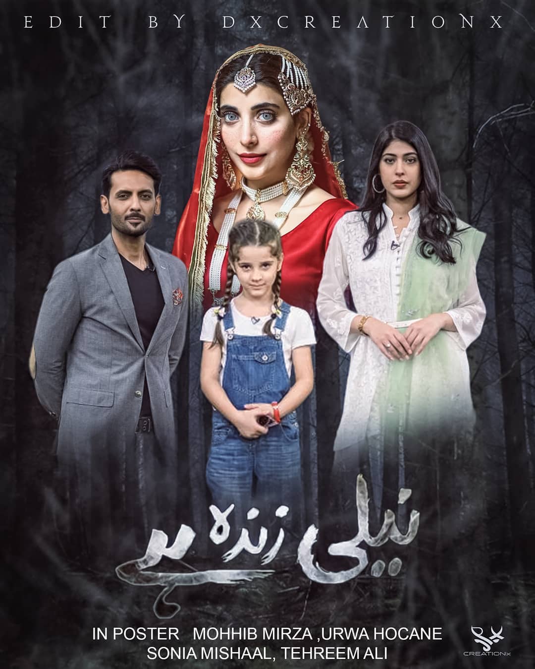 Poster 33